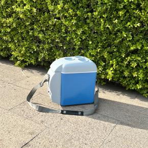 Car Refrigerator